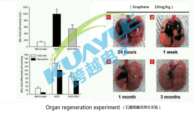 导热石墨片